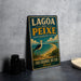 A vintage-style sign for the Lagoon of Peixe in Brazil, featuring a seagull and a beach scene.