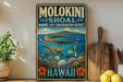 A vintage-style metal sign for Molokini Shoaal, the Marine Life Conservation District in Hawaii, featuring a turtle swimming in the ocean and colorful coral reefs.