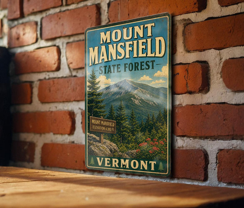 Mount Mansfield State Forest - Vermont