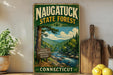 A vintage-style sign for the Naugatuck State Forest, featuring a scenic image of a forest and a river, with the text "Connecticut State Forest" and "Explore Connecticut's Natural Treasure".