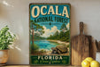 A vintage-style sign for the Ocala National Forest in Florida, featuring a scenic landscape with a turtle in the foreground.