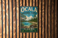 A vintage-style metal sign for the Ocala National Forest in Florida, featuring a scenic landscape with a lake, palm trees, and a turtle.