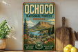 a vintage-style sign for Ochoco National Forest in Oregon, with a scenic mountain landscape and a river in the background.