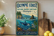 a vintage-style sign for the Olympic Coast National Marine Sanctuary in Washington, with illustrations of marine life and a scenic landscape.