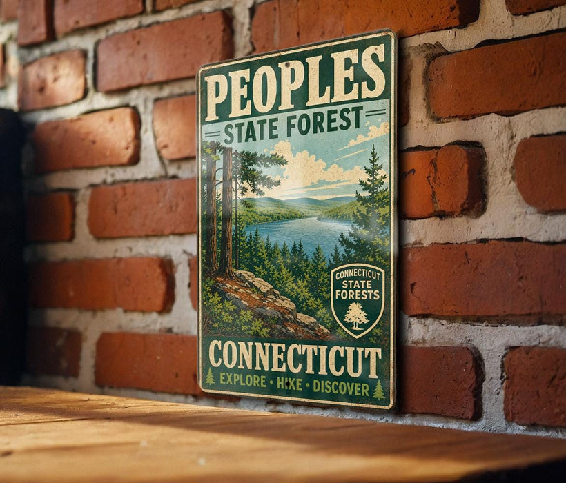 A vintage-style metal sign for the Connecticut State Forest, featuring a scenic landscape with pine trees, a lake, and mountains.