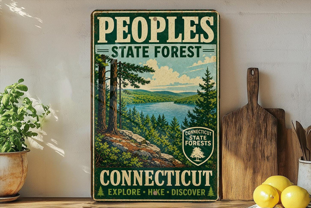 A vintage-style sign for the Connecticut State Forest, featuring a scenic landscape with pine trees, a lake, and mountains.