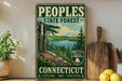 A vintage-style sign for the Connecticut State Forest, featuring a scenic landscape with pine trees, a lake, and mountains.