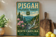 A vintage-style sign for Pisgah National Forest in North Carolina, featuring a scenic mountain landscape with a waterfall.
