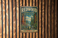 A vintage-style metal sign for Redwood National and State Parks, featuring a scenic illustration of a forest with tall trees and a river.
