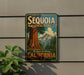 A vintage metal sign for Sequoia National Forest in California, featuring a large tree and mountains in the background.