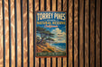 A vintage-style metal sign for Torrey Pines State Natural Reserve in California, featuring a scenic landscape with a tree and ocean.