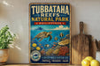 A vintage-style sign for Tubbataha Reefs Natural Park in the Philippines, featuring an illustration of a sea turtle swimming among colorful coral and fish.