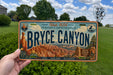 A person is holding a license plate that says "BRYCE CANYON" with a scenic image of the canyon on it.