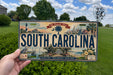 A person is holding a license plate with the text "South Carolina" on it, set against a background of trees and a blue sky.