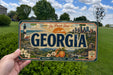 A person is holding a Georgia license plate with a scenic illustration of the state's landscape and buildings.