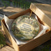 A decorative ornament in a box, featuring a painting of a historic plantation house surrounded by trees and greenery.