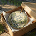 A decorative ornament in a brown box, featuring a scenic image of Stony Brook State Park in New York.