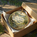 A decorative ornament in a box, featuring a scenic landscape with a waterfall and forest, with the text "Tar Hollow State Park, Ohio" printed on it.