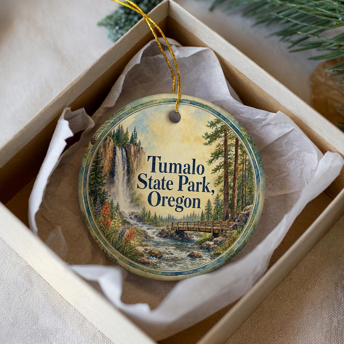 A round ornament with a scenic image of a waterfall and forest, hanging from a string inside a box.