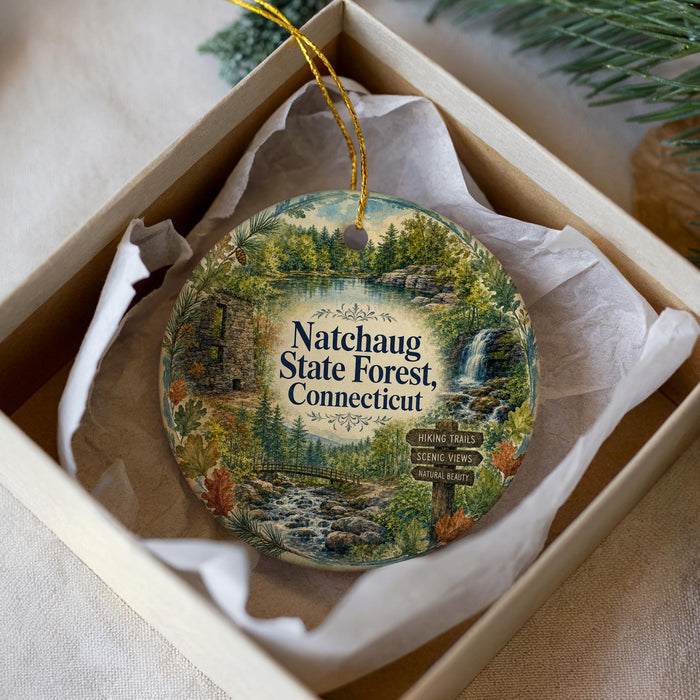 A decorative ornament in a box, featuring a scenic landscape with a waterfall, pine trees, and hiking trails.