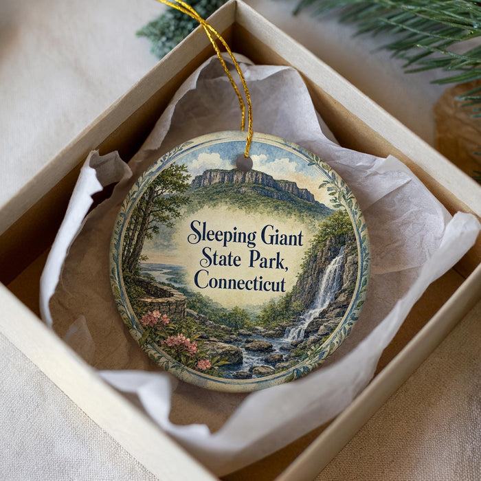 A decorative ornament in a box, featuring a scenic landscape with a waterfall and mountains.
