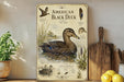 The image is a poster of an American Black Duck, featuring illustrations and text about the bird.