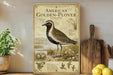 a vintage-style field guide poster for the American Golden-Plover, a bird species, displayed on a shelf next to a wooden cutting board and some potted plants.
