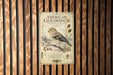 a poster of an American Goldfinch, a winter plumage bird, displayed on a wooden wall.