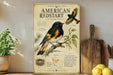 a vintage-style poster or sign about the American Redstart bird, with illustrations and text providing information about the bird's appearance, habitat, and behavior.
