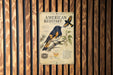 a vintage-style poster or informational display about the American Redstart, a small woodpecker species. The poster includes illustrations and text that provide details about the bird's appearance, habitat, and behavior.