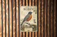 a vintage-style poster of a robin, with illustrations of the bird and its surroundings, such as berries and a nest.