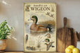 The image is a poster or painting of an American wigeon, featuring illustrations of the bird in various poses and surrounded by natural elements such as grass, pine trees, and water.