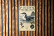 a poster or sign with an illustration of a bird, likely an ancient murrelt, and text providing information about the bird.