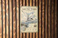 a poster about the Arctic tern, a migratory bird that travels thousands of miles between its breeding and wintering grounds.