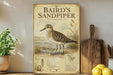 a vintage-style illustration of a sandpiper bird, with a wooden board displaying information about the bird, placed on a wooden shelf next to a potted plant and a cutting board.