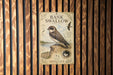 a sign with a picture of a bird, specifically a swallow, perched on a rock. The sign is mounted on a wooden wall with vertical slats.