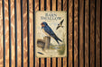 a vintage-style illustration of a barn swallow perched on a wooden post, with additional illustrations and text providing information about the bird.
