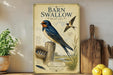 a vintage-style poster of a barn swallow, with illustrations of the bird and its nest, displayed on a shelf next to a wooden cutting board and some potted plants.