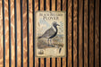 a vintage advertisement for the Black-Bellied Plover, a bird species, displayed on a wooden wall.