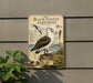 a vintage-style metal plaque with illustrations and text about the Black-footed Albatross, a species of seabird.