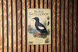 a poster of a black guillemot, a type of bird, mounted on a wooden wall.