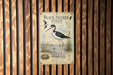 a poster of a black-necked stilt, a type of wading bird, displayed on a wooden wall.