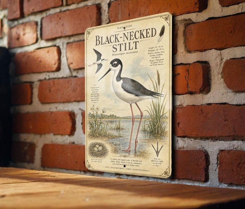 A vintage-style metal sign with an illustration of a black-necked stilt bird, mounted on a brick wall.