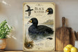 a vintage-style illustration of a black scoter bird, with detailed illustrations of the bird in flight and swimming in water. The illustration is set against a backdrop of a landscape with mountains and a body of water. The image is framed by a decorative border and is displayed on a shelf, with a potted plant and a wooden cutting board visible in the background.