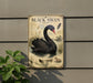 a vintage-style illustration of a black swan, with detailed illustrations and text providing information about the species.