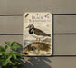 a sign with a bird illustration, mounted on a wall next to a plant.