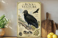a vintage-style poster of a black vulture, mounted on a wall next to a wooden cutting board and some potted plants.