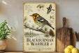 a vintage-style metal sign with illustrations and text about the Blackburnian Warbler, a bird species native to North America.