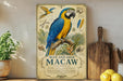 a vintage-style poster of a blue and gold macaw, with illustrations of the bird and its natural habitat, placed on a wooden shelf next to a wooden cutting board and some potted plants.