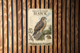 a poster of a broad-winged hawk, mounted on a wooden wall.
